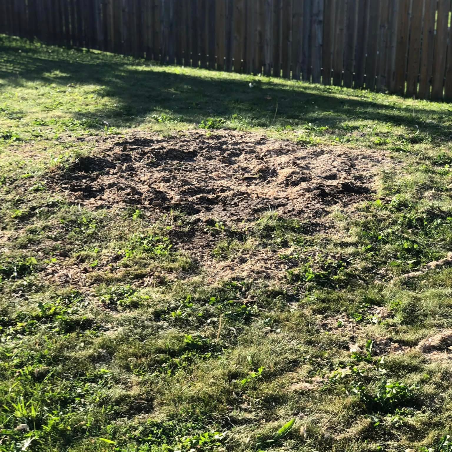 Same backyard with the stump fully ground out and the ground leveled and grassed over