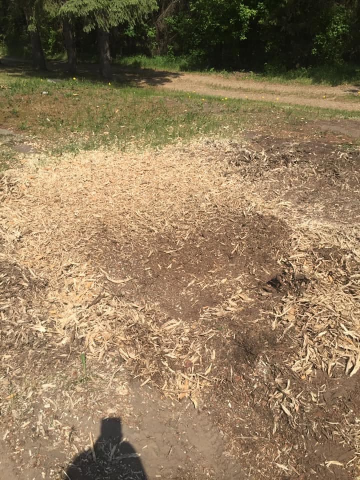 Cemetery grounds after a stump has been ground flush and filled in