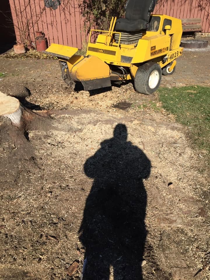 Yellow stump grinder parked beside a freshly ground stump in a backyard patio