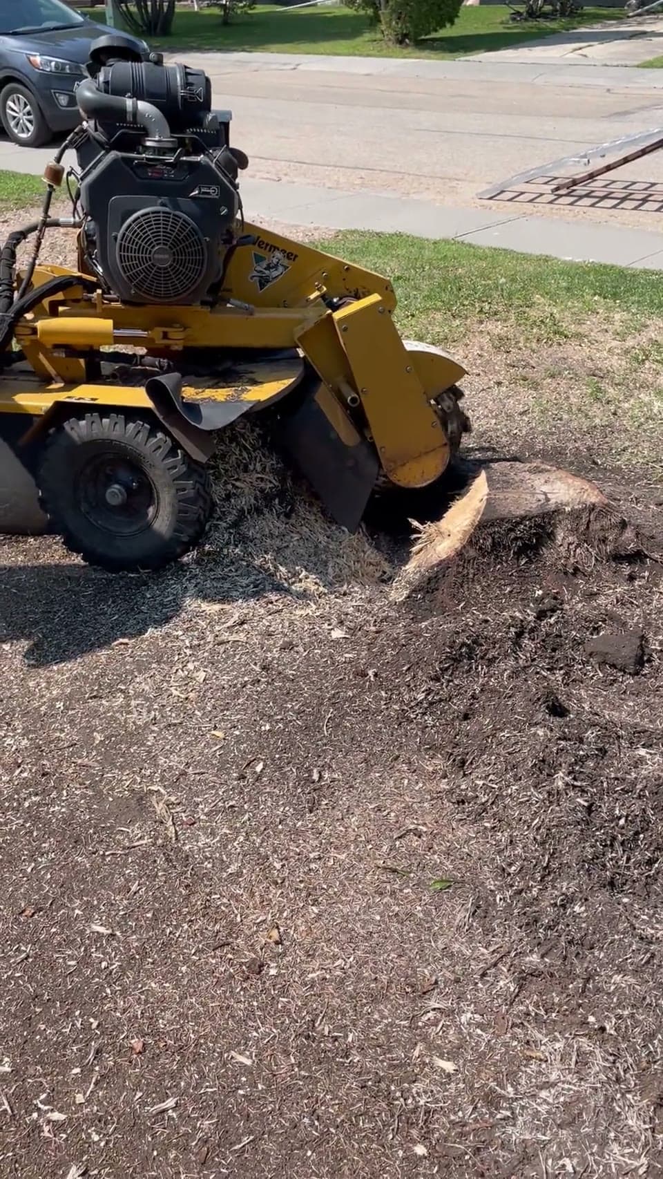 Video of a walk-behind stump grinder cutting into a curbside stump